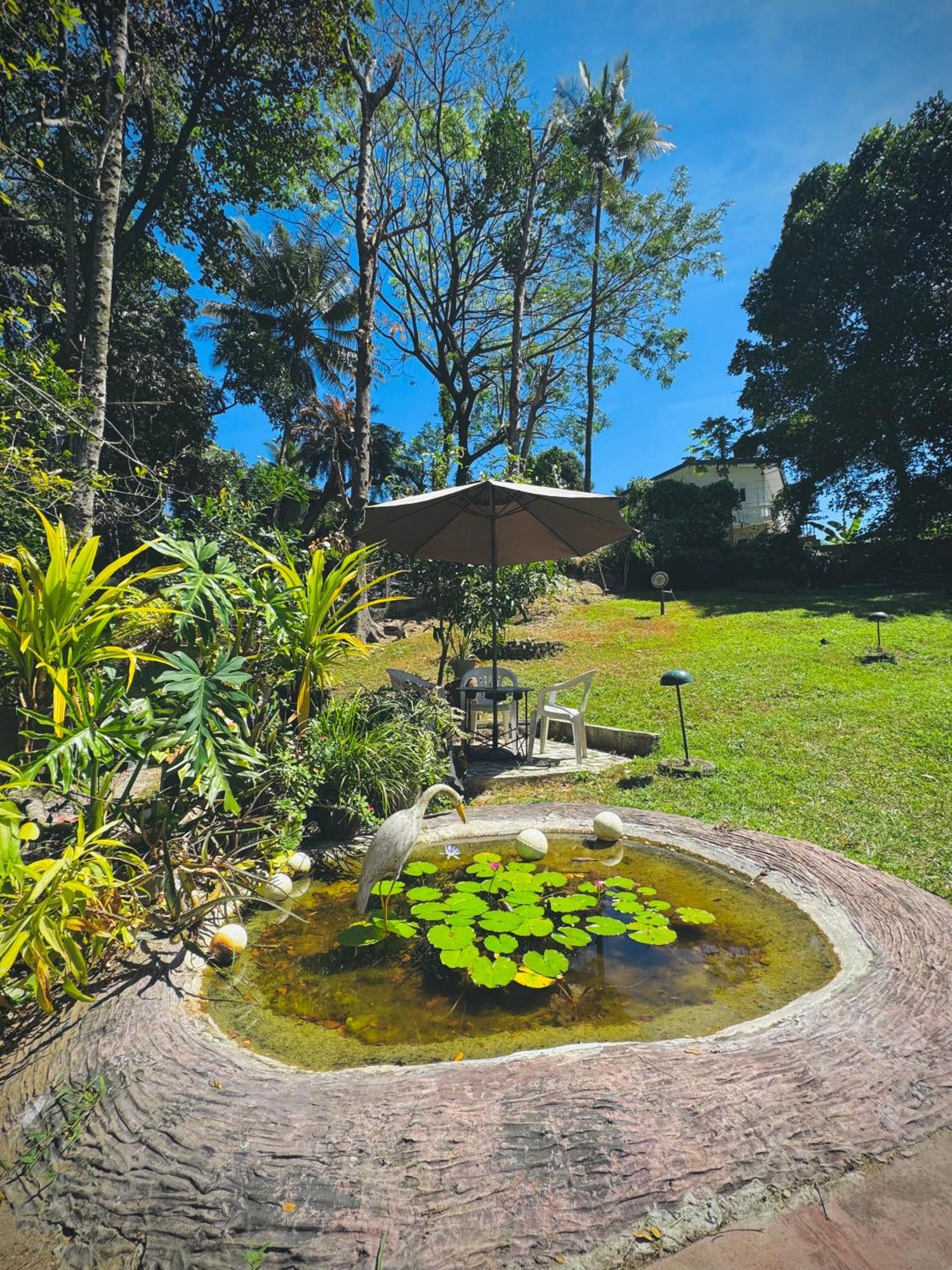 Mahaweli View Bungalow Kandy Eksteriør billede